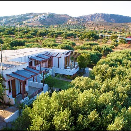 شقة Voula'S Casa Di Mare باليكاسترون المظهر الخارجي الصورة